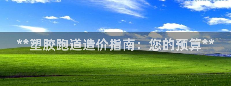 z6尊龙官网：**塑胶跑道造价指南：您的预算**