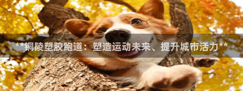 尊龙凯时提款一直审核中：**铜陵塑胶跑道：塑造运动未