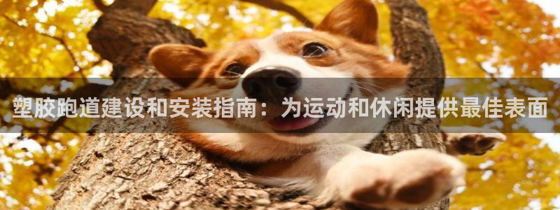 凯时首页登录：塑胶跑道建设和安装指南：为运动和休闲提