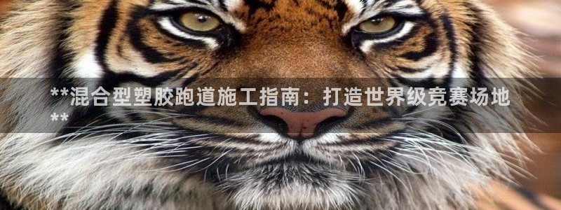 尊龙凯时官网首页：**混合型塑胶跑道施工指南：打造世界级竞赛场地
**