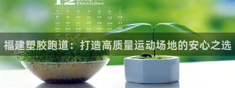 尊龙d88会员：福建塑胶跑道：打造高质量运动场地的安