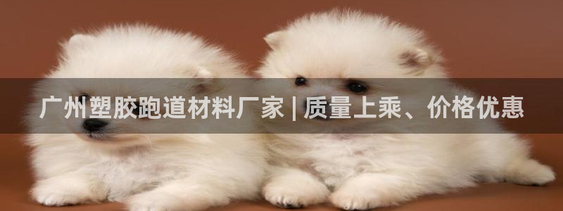 尊龙凯时网：广州塑胶跑道材料厂家 | 质量上乘、价格优惠