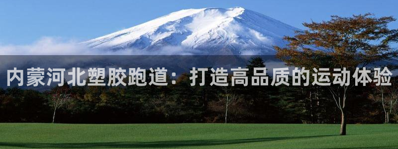 尊龙休闲e站怎么样：内蒙河北塑胶跑道：打造高品质的运动体验