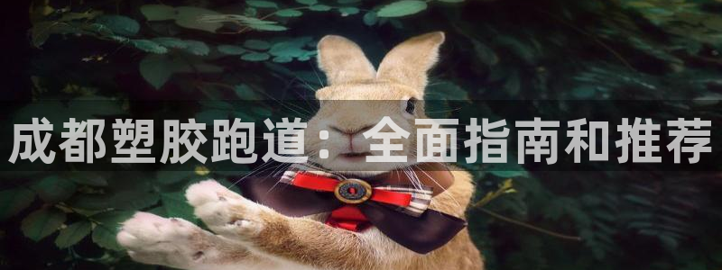 尊龙长相评价：成都塑胶跑道：全面指南和推荐
