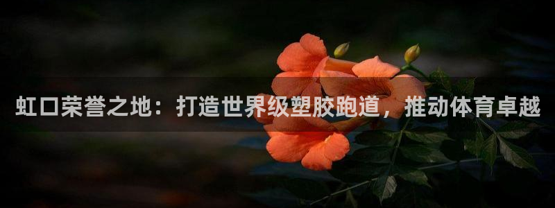 尊龙凯时是哪个国家的：虹口荣誉之地：打造世界级塑胶跑道，推动体育卓越