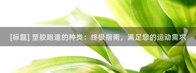 尊龙官网手：[标题] 塑胶跑道的种类：终极指南，满足您的运动需求