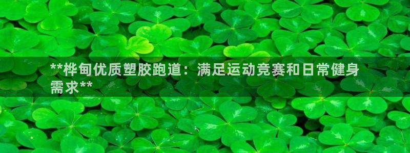 尊龙ag旗舰厅官网官方入口：**桦甸优质塑胶跑道：满足运动竞赛和日常健身
需求**
