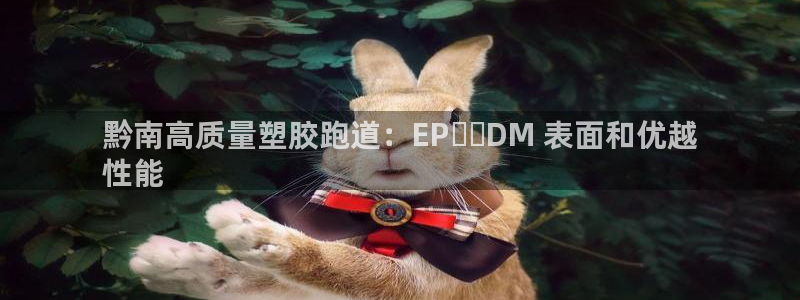 尊龙d88官网可靠送38元：黔南高质量塑胶跑道：EP