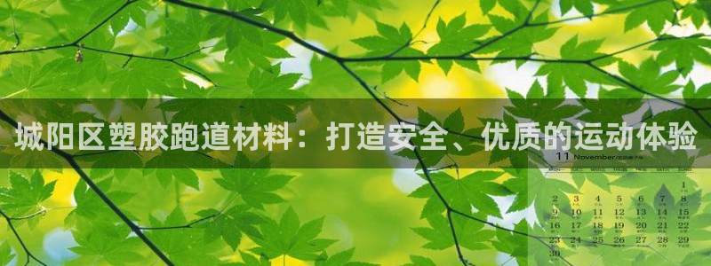 尊龙ag旗舰厅官网登录：城阳区塑胶跑道材料：打造安全、优质的运动体验