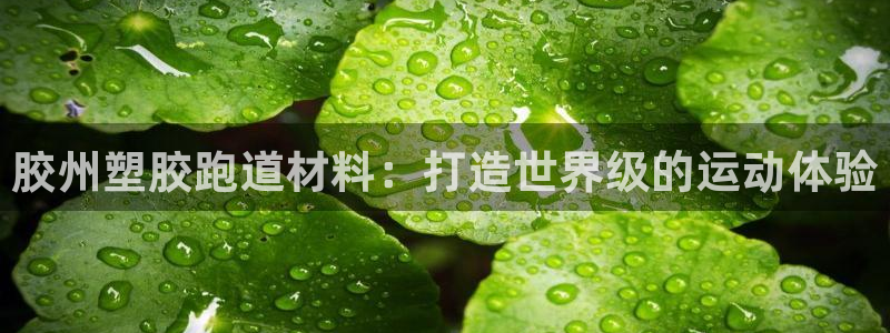 AG尊龙注册在线游戏：胶州塑胶跑道材料：打造世界级的