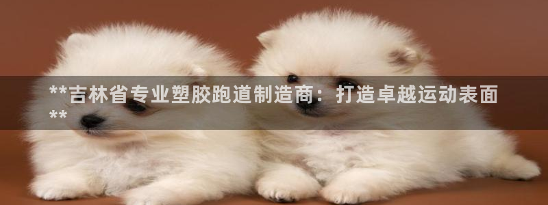 尊龙凯时白家乐：**吉林省专业塑胶跑道制造商：打造卓越运动表面
**