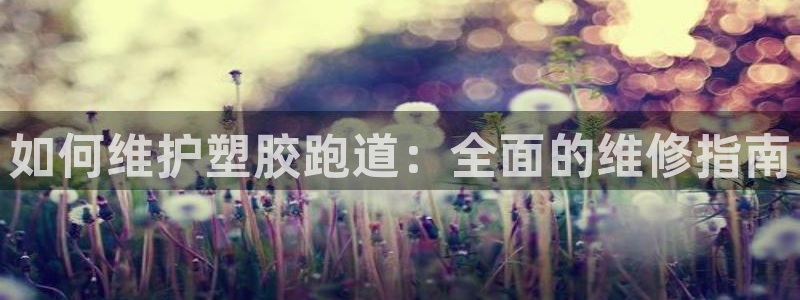 凯时平台app：如何维护塑胶跑道：全面的维修指南