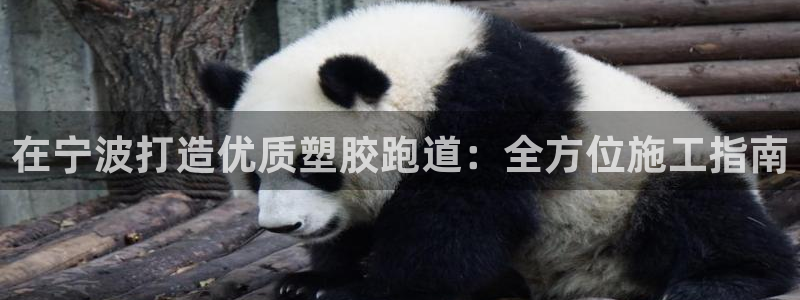 尊龙人生就是博一下下：在宁波打造优质塑胶跑道：全方位施工指南
