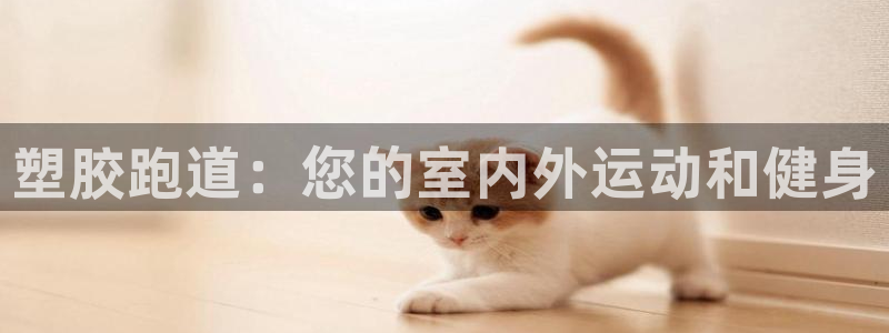 首页尊龙d88国际：塑胶跑道：您的室内外运动和健身