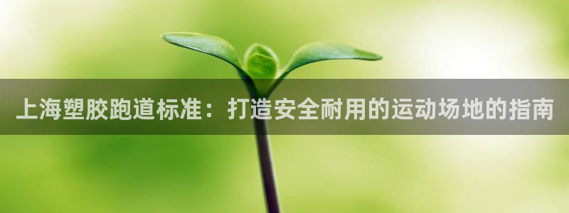 尊龙ag旗舰官网：上海塑胶跑道标准：打造安全耐用的运动场地的指南
