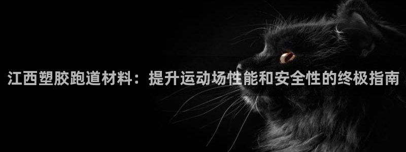 尊龙凯时的最新消息：江西塑胶跑道材料：提升运动场性能和安全性的终极指南