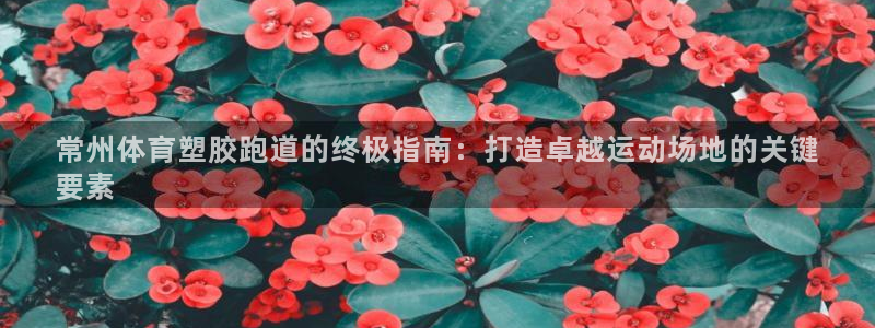 凯时K8国际：常州体育塑胶跑道的终极指南：打造卓越运动场地的关键
要素