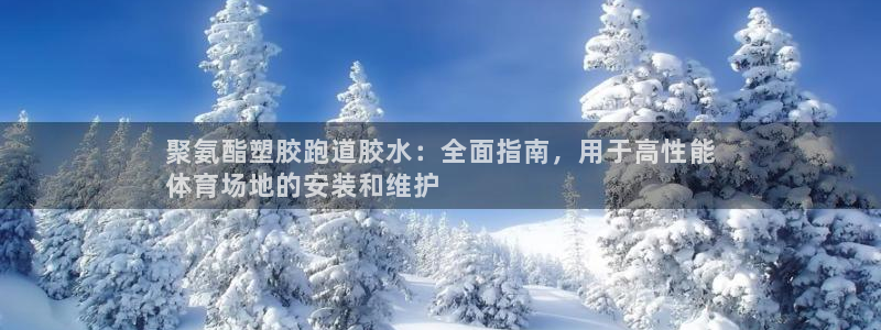 尊龙新版官网网页版：聚氨酯塑胶跑道胶水：全面指南，用于高性能
体育场地的安装和维护