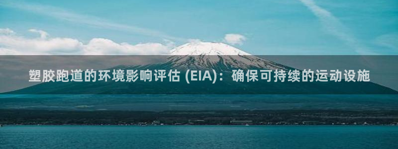 尊龙实业：塑胶跑道的环境影响评估 (EIA)：确保可