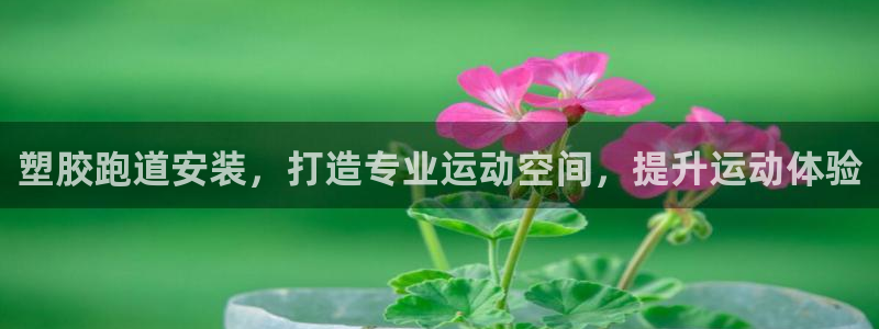 尊龙凯时ag旗舰厅官方网站：塑胶跑道安装，打造专业运动空间，提升运动体验