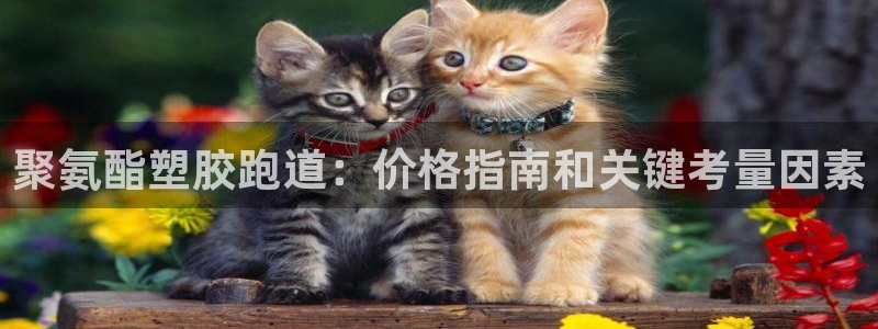 尊龙凯时是大平台吗：聚氨酯塑胶跑道：价格指南和关键考量因素