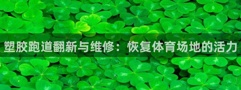 尊龙人生就要博旧版：塑胶跑道翻新与维修：恢复体育场地