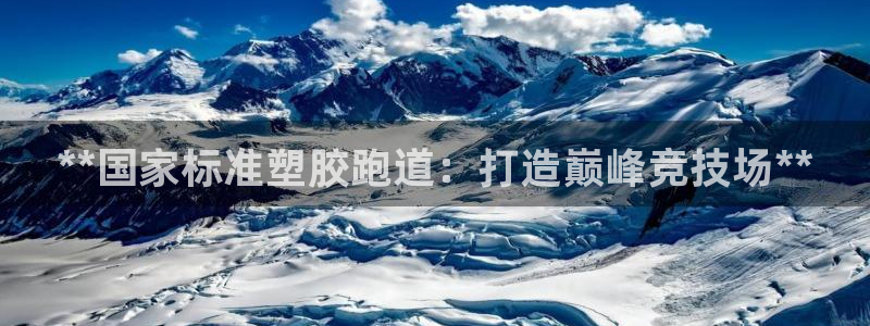 尊龙人生就是博手机版下载：**国家标准塑胶跑道：打造巅峰竞技场**