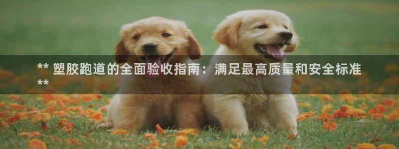 尊龙凯时投诉最狠的方法：** 塑胶跑道的全面验收指南