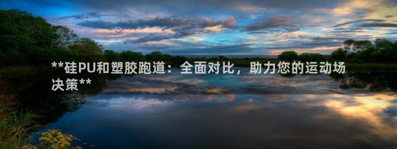 尊龙是什么软件：**硅PU和塑胶跑道：全面对比，助力