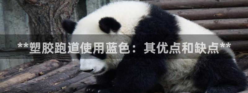 尊龙d88官网选RA来就送38：**塑胶跑道使用蓝色：其优点和缺点**