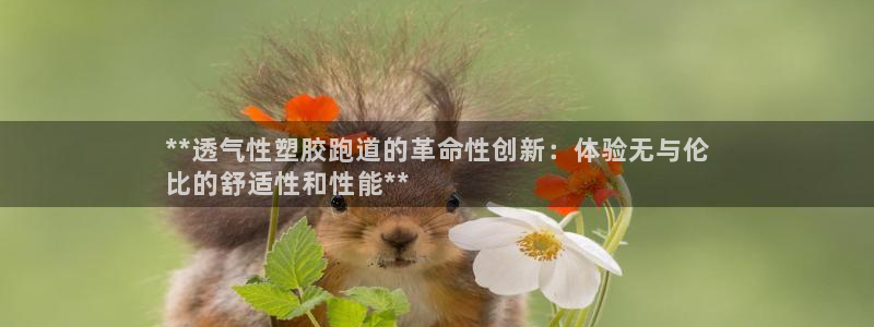 尊龙凯时人生就是搏技术实力：**透气性塑胶跑道的革命性创新：体验无与伦
比的舒适性和性能**