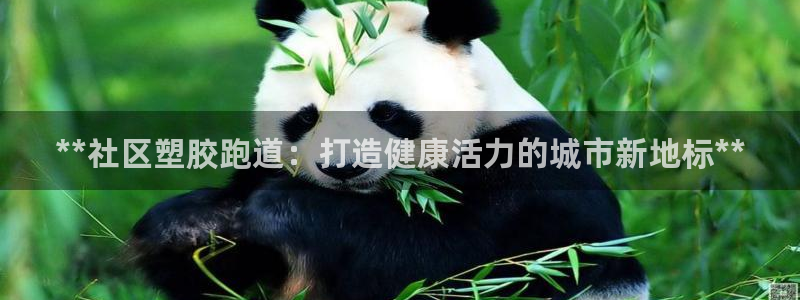 尊龙人生就是博旗舰厅：**社区塑胶跑道：打造健康活力的城市新地标**
