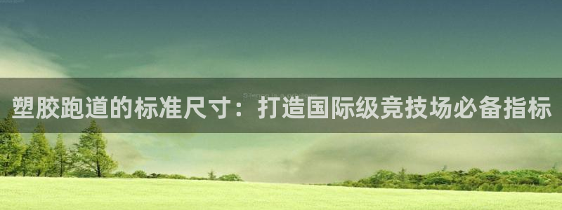 尊龙凯时官网入口：塑胶跑道的标准尺寸：打造国际级竞技场必备指标