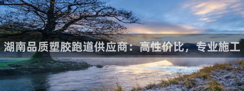 尊龙凯时网站网址：湖南品质塑胶跑道供应商：高性价比，专业施工
