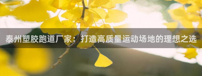 尊龙凯时ag旗舰厅官网客服：泰州塑胶跑道厂家：打造高质量运动场地的理想之选