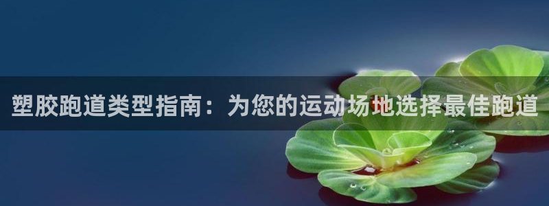z6com尊龙凯时代理