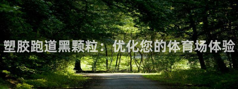 尊龙t400和尊龙t300区别：塑胶跑道黑颗粒：优化您的体育场体验