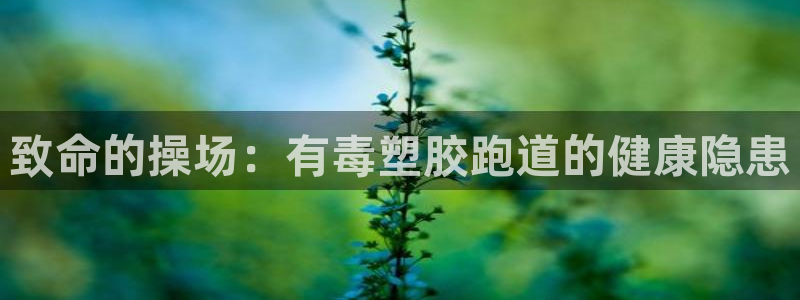 凯时平台怎么样
