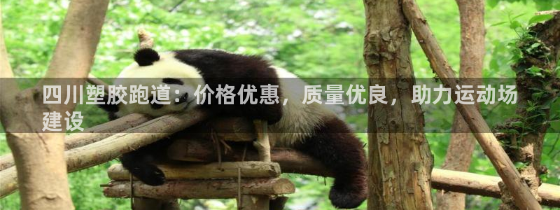 尊龙ag旗舰厅登陆