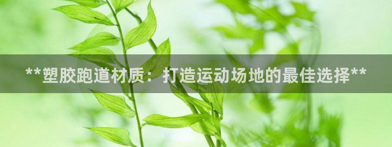 尊龙传奇英文怎么写：**塑胶跑道材质：打造运动场地的最佳选择**