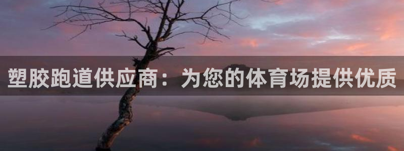 凯时登录界面：塑胶跑道供应商：为您的体育场提供优质