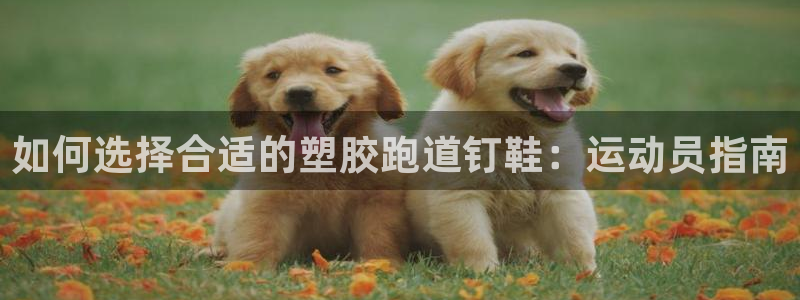 尊龙新版手机app下载：如何选择合适的塑胶跑道钉鞋：运动员指南