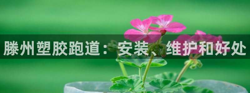 尊龙凯时干什么的