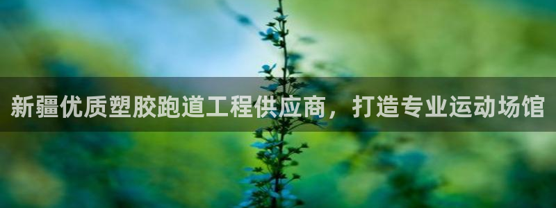 尊龙凯时网娱乐最新版