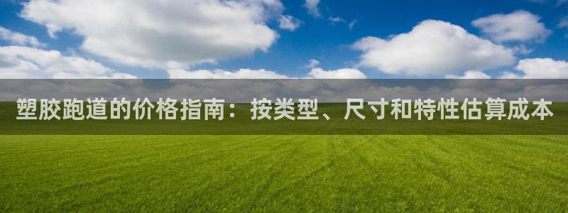 尊龙凯时白家乐Abb下载：塑胶跑道的价格指南：按类型、尺寸和特性估算成本