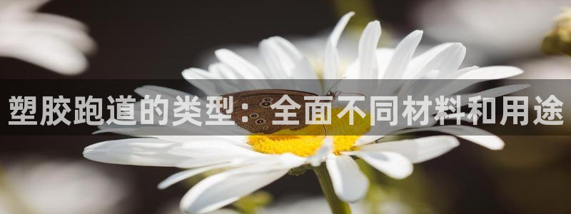尊龙凯时存款不上分：塑胶跑道的类型：全面不同材料和用途