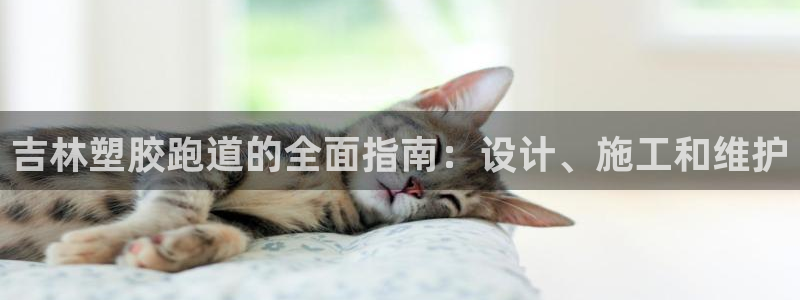 z6com尊龙凯时百家乐