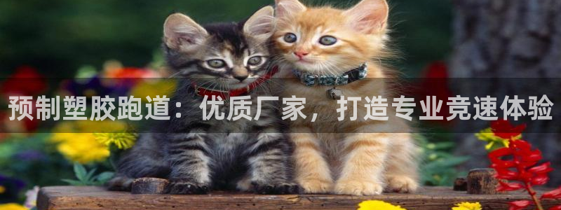 尊龙凯时公司官网：预制塑胶跑道：优质厂家，打造专业竞速体验
