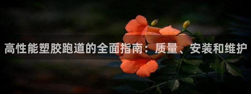 尊龙ag旗舰：高性能塑胶跑道的全面指南：质量、安装和维护