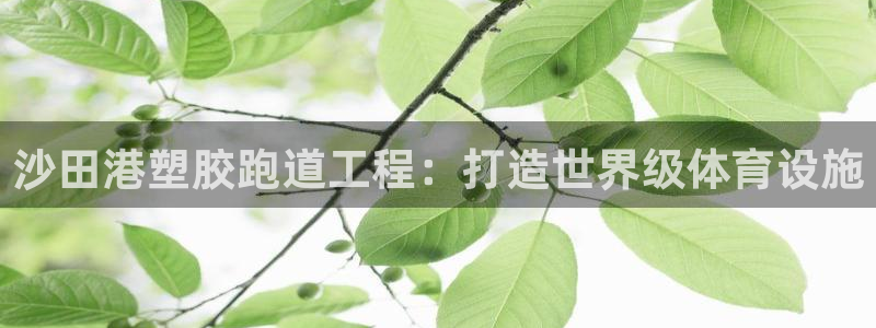 尊龙人生就是博AG：沙田港塑胶跑道工程：打造世界级体育设施